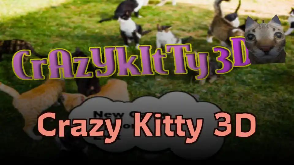 Crazy Kitty 3D